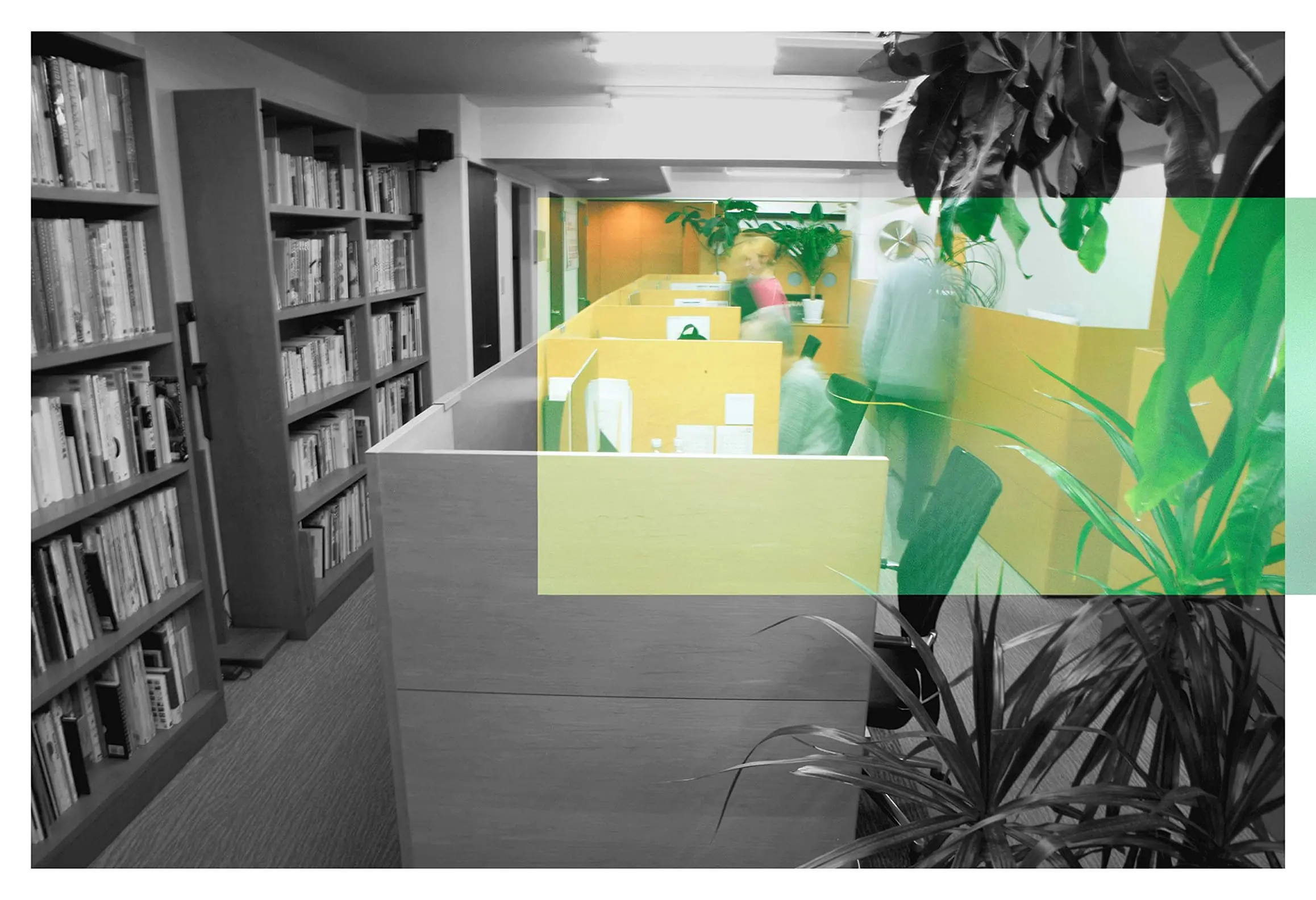オフィス内の風景。全体はモノクロ加工されているが、一部が緑色のフィルターでカラー表示され、植物やデスクが際立っている。